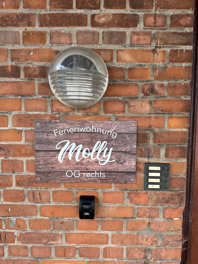 Ferienwohnung Molly 布伦斯比特尔 外观 照片