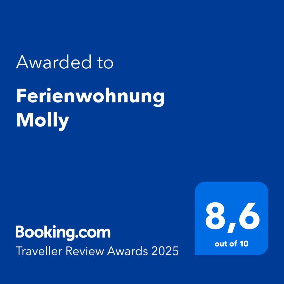 Ferienwohnung Molly 布伦斯比特尔 外观 照片